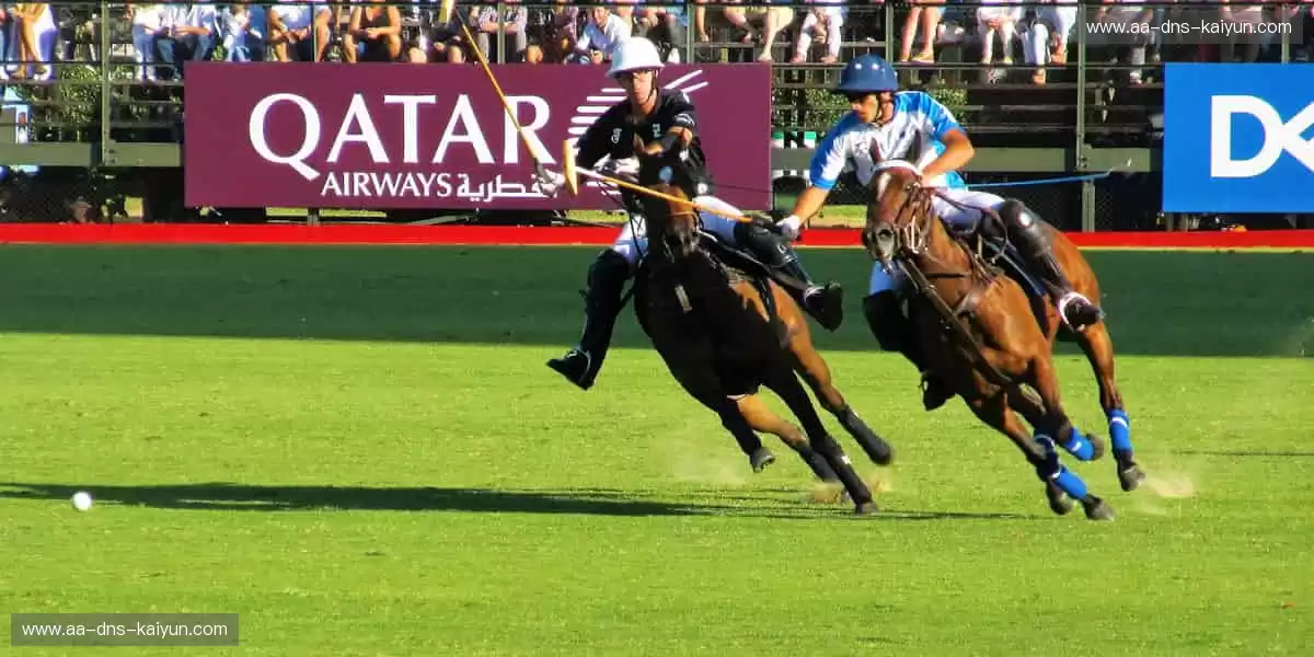 独家视角，让热爱零距离！📺✨